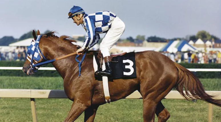 horse